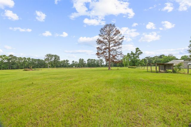 60 Pumpkin Church Road, New Waverly, TX 77358