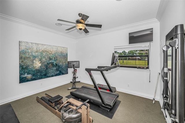 2521 LAKE ELLEN DRIVE, Tampa, FL 33618