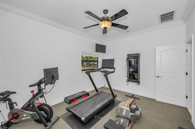 2521 LAKE ELLEN DRIVE, Tampa, FL 33618