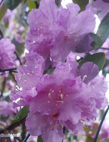 5204 Pillar Way, Fort Ann, NY 12827