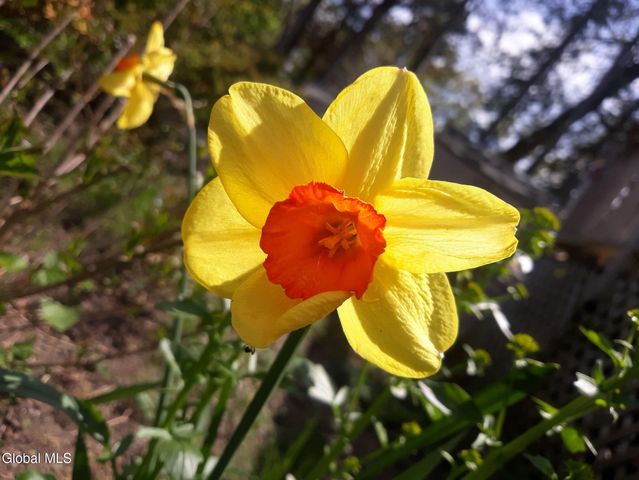 5204 Pillar Way, Fort Ann, NY 12827