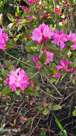 5204 Pillar Way, Fort Ann, NY 12827