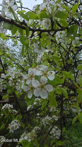 5204 Pillar Way, Fort Ann, NY 12827