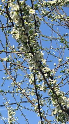 5204 Pillar Way, Fort Ann, NY 12827