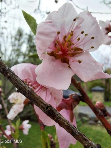 5204 Pillar Way, Fort Ann, NY 12827