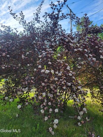 5204 Pillar Way, Fort Ann, NY 12827