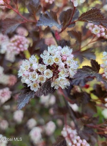 5204 Pillar Way, Fort Ann, NY 12827