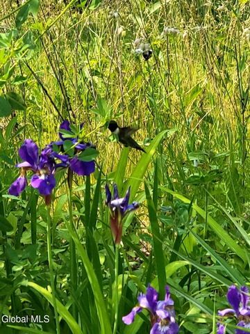 5204 Pillar Way, Fort Ann, NY 12827