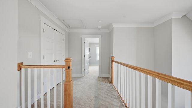 10607 Flicker Way, Apison, TN 37302