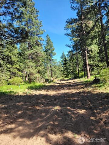 10 Summit View at Wallace Ranch, Cle Elum, WA 98922