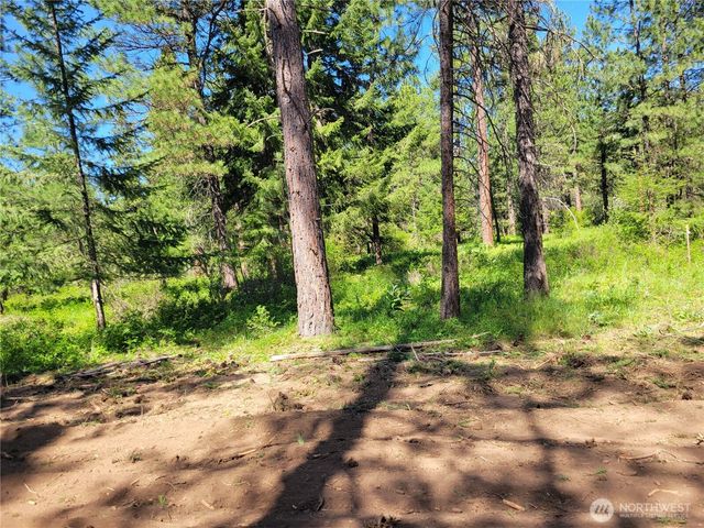 10 Summit View at Wallace Ranch, Cle Elum, WA 98922