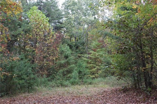 Lot 19 Owl Mountain Road, Ellijay, GA 30540