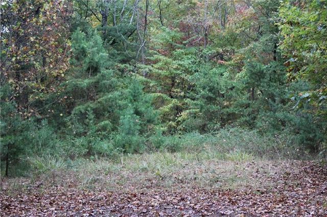 Lot 19 Owl Mountain Road, Ellijay, GA 30540