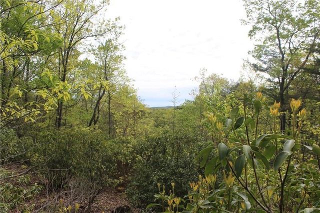 Lot 19 Owl Mountain Road, Ellijay, GA 30540