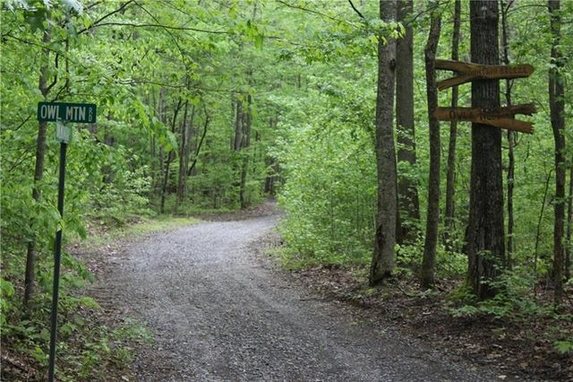 Lot 19 Owl Mountain Road, Ellijay, GA 30540