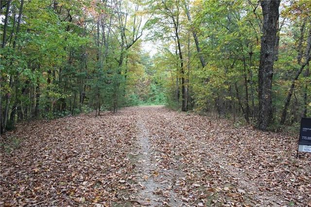 Lot 19 Owl Mountain Road, Ellijay, GA 30540