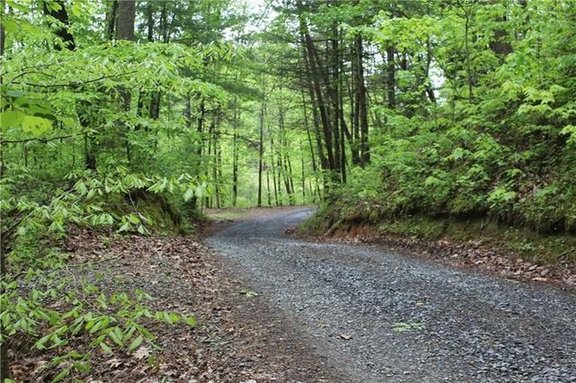 Lot 19 Owl Mountain Road, Ellijay, GA 30540