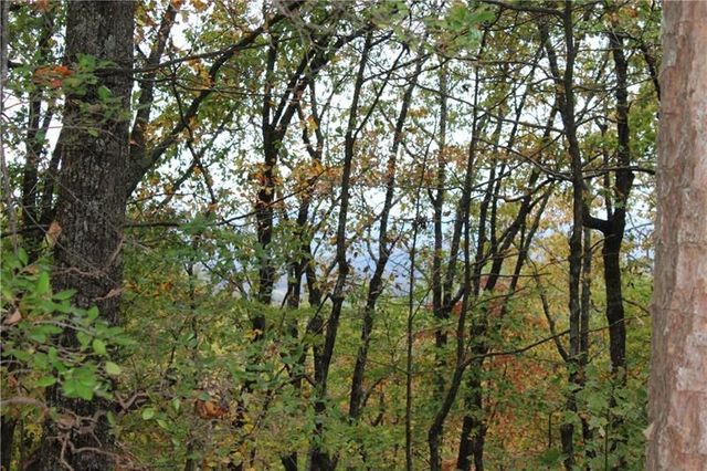Lot 19 Owl Mountain Road, Ellijay, GA 30540