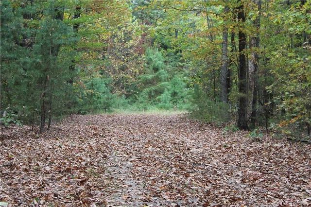 Lot 19 Owl Mountain Road, Ellijay, GA 30540