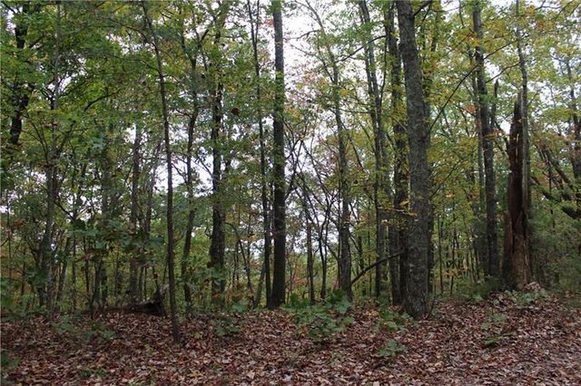 Lot 19 Owl Mountain Road, Ellijay, GA 30540