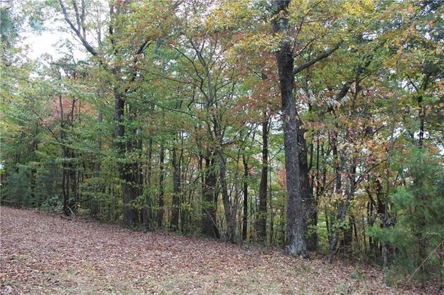 Lot 19 Owl Mountain Road, Ellijay, GA 30540