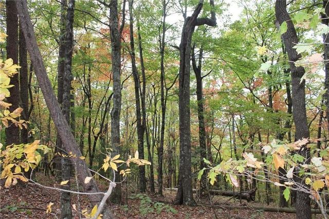 Lot 19 Owl Mountain Road, Ellijay, GA 30540