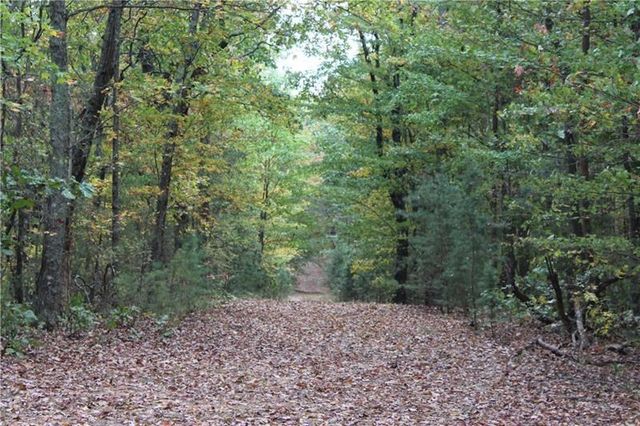 Lot 19 Owl Mountain Road, Ellijay, GA 30540