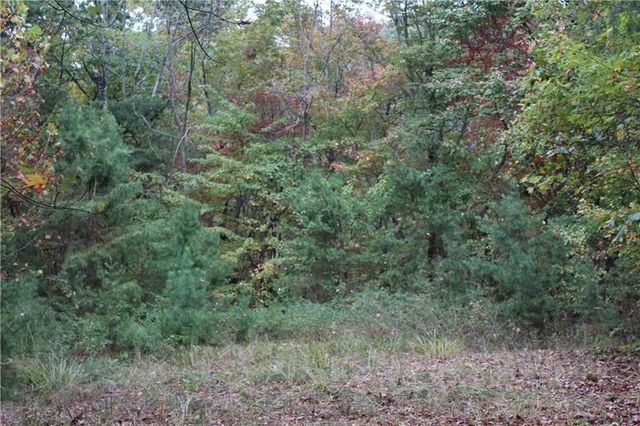 Lot 19 Owl Mountain Road, Ellijay, GA 30540