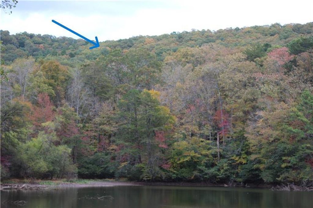 Lot 19 Owl Mountain Road, Ellijay, GA 30540