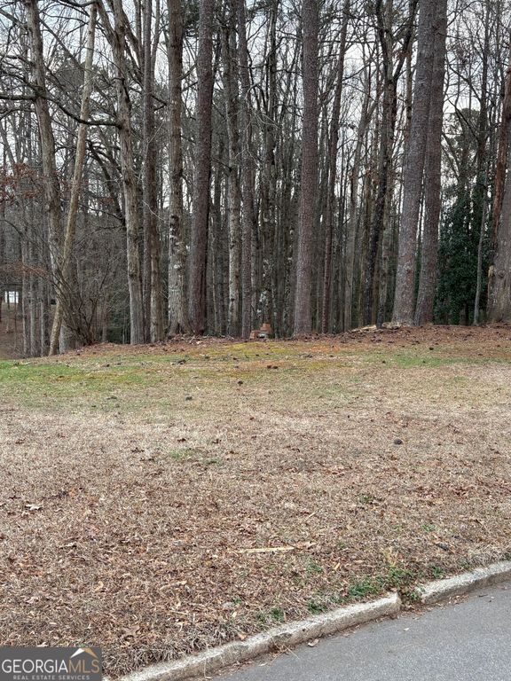 0 Azalea Drive, Fairburn, GA 30213