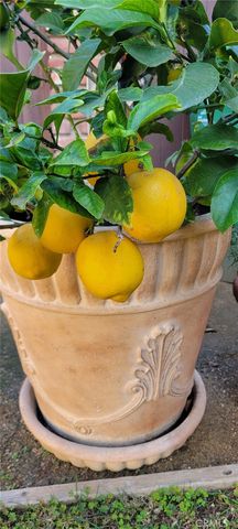 901 23rd, Santa Monica, CA 90403