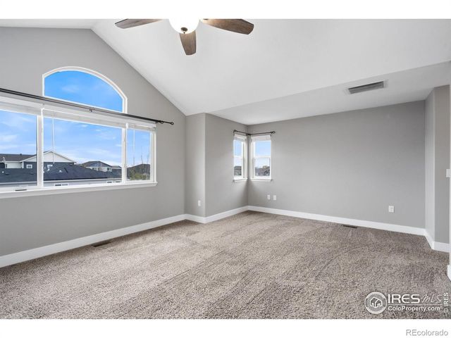 893 Shirttail Peak Court, Windsor, CO 80550