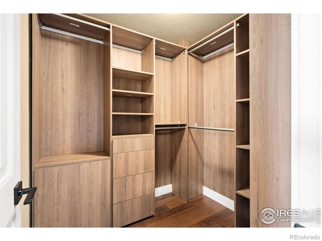 893 Shirttail Peak Court, Windsor, CO 80550