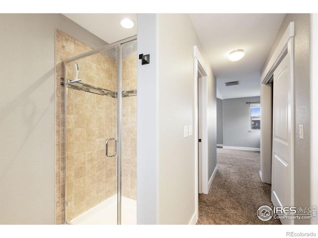 893 Shirttail Peak Court, Windsor, CO 80550