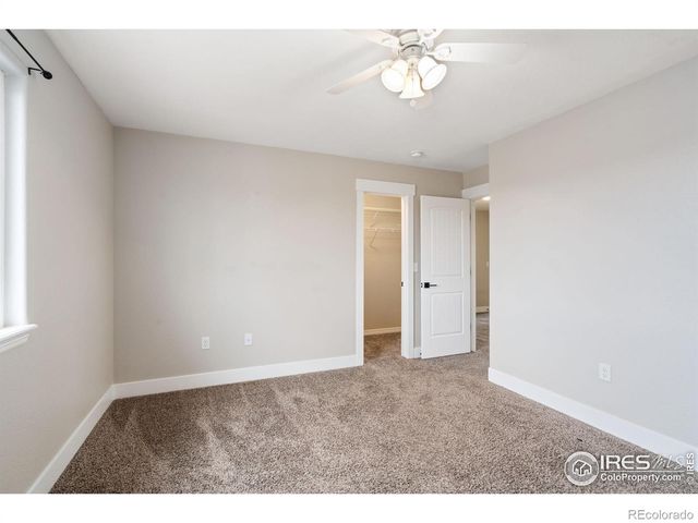 893 Shirttail Peak Court, Windsor, CO 80550