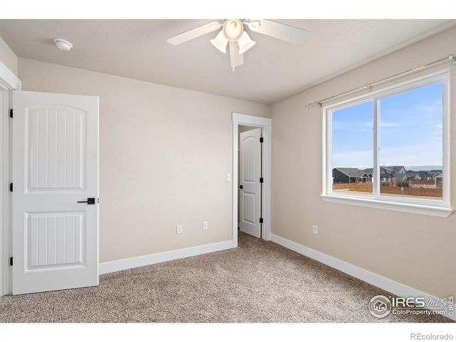 893 Shirttail Peak Court, Windsor, CO 80550