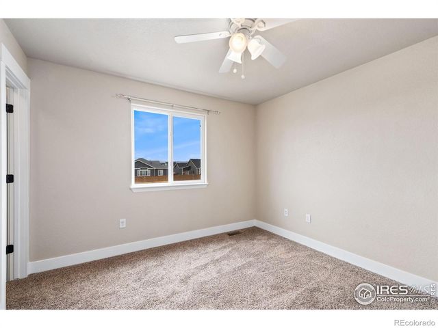 893 Shirttail Peak Court, Windsor, CO 80550