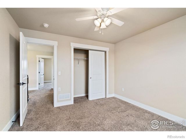 893 Shirttail Peak Court, Windsor, CO 80550