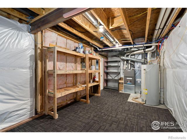 893 Shirttail Peak Court, Windsor, CO 80550