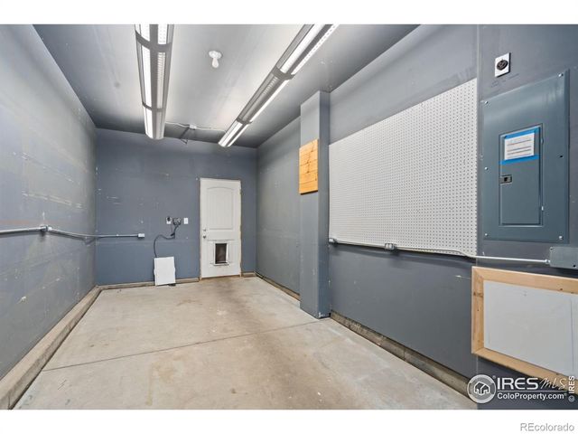 893 Shirttail Peak Court, Windsor, CO 80550