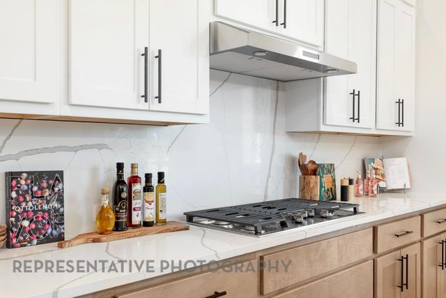 1404 Purple Petunia LN, Georgetown, TX 78628