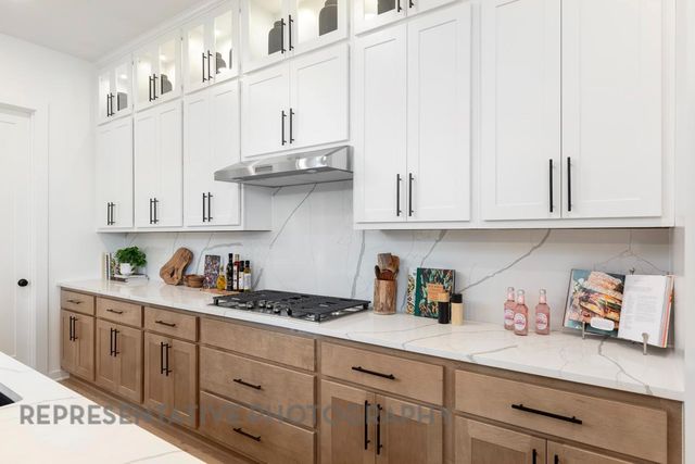 1404 Purple Petunia LN, Georgetown, TX 78628