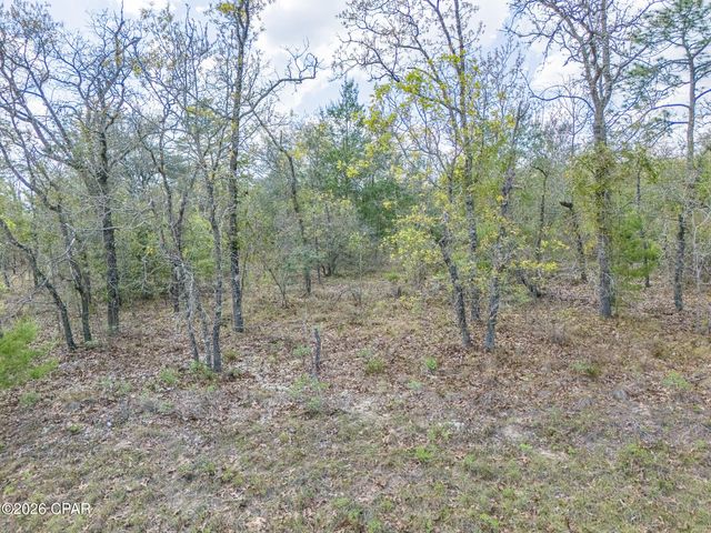 Lot 2 Esmont Avenue, Chipley, FL 32428