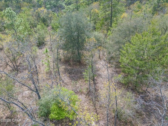 Lot 2 Esmont Avenue, Chipley, FL 32428