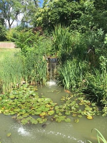 4218 Florence Avenue, Downers Grove, IL 60515