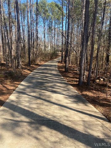 13560 Country Club, Northport, AL 35475