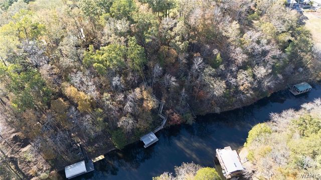 13560 Country Club, Northport, AL 35475