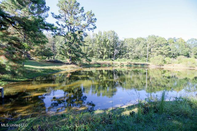 1153 Owens Road, Terry, MS 39170
