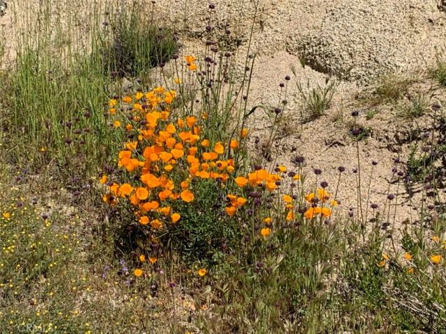 0 Inland, Aguanga, CA 92536