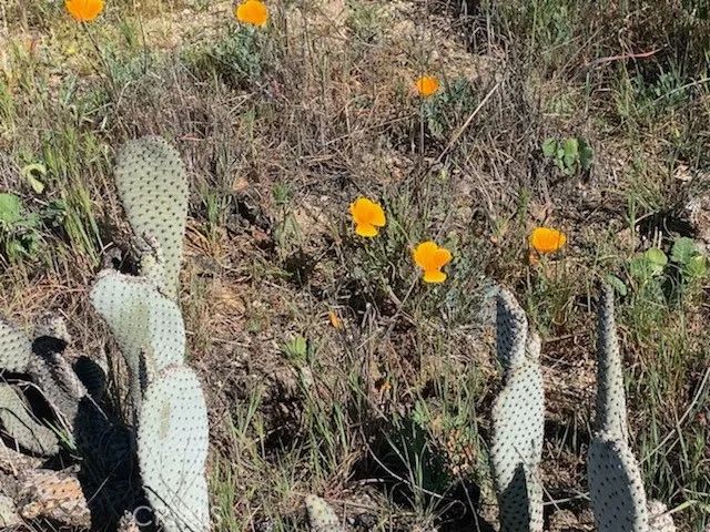 0 Inland, Aguanga, CA 92536